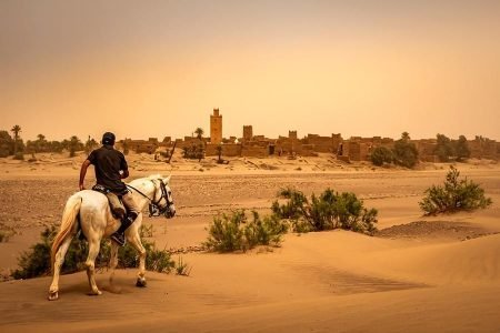 Balade à cheval à la Palmeraie