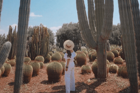 Visite du jardin Cactus Thiemann